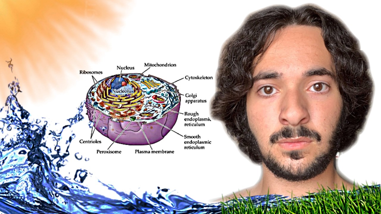 Drinking Water Doesn&rsquo;t Hydrate You. Your Mitochondria Do.