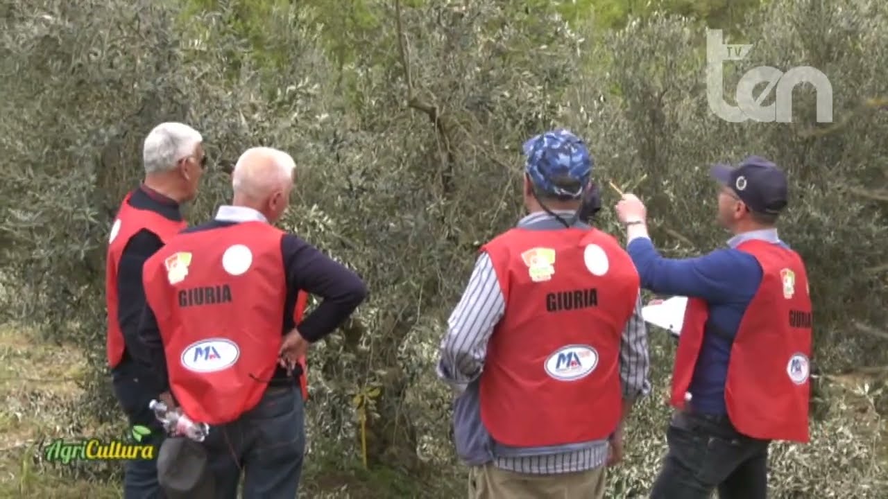 ten   AGRICULTURA 6 maggio 2023