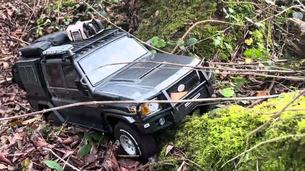 RGT EX86160 | The trail master, absolutely love this truck 