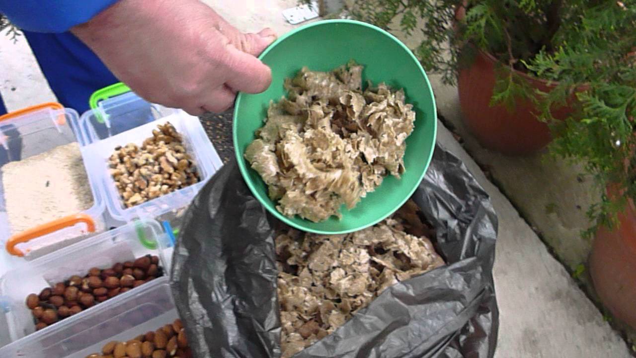 Cum obtin ulei de floarea soarelui acasa 0756751974