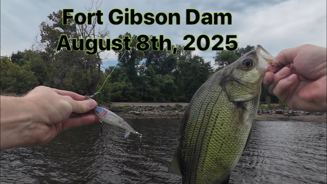Topwater action was on FIRE!! Fort Gibson dam Sandbass fishing.