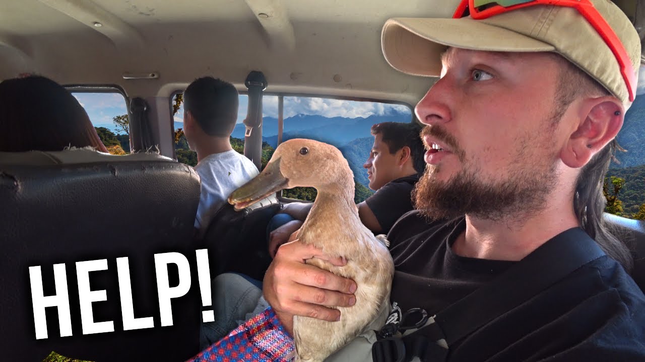 Pure Ducking Chaos in Peru's Worst Market 🇵🇪