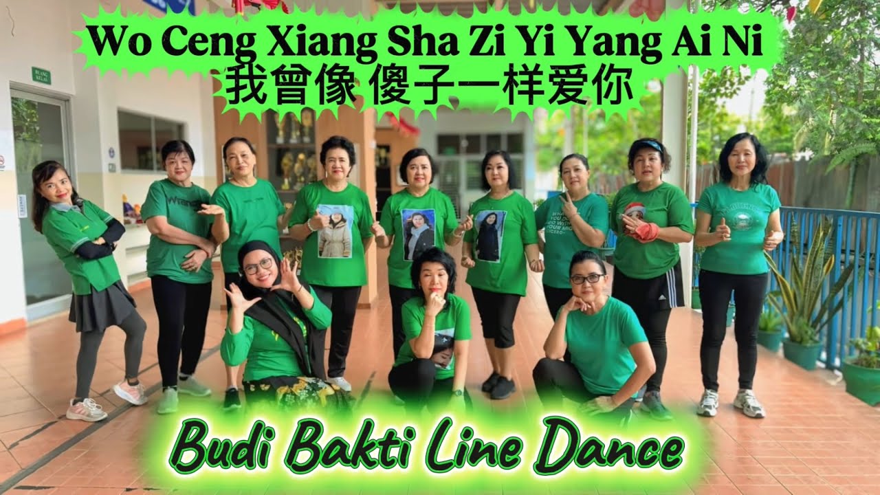 Wo Ceng Xiang Sha Zi Yi Yang Ai Ni 我曾像 傻子一样爱你//By Budi Bakti Line Dance