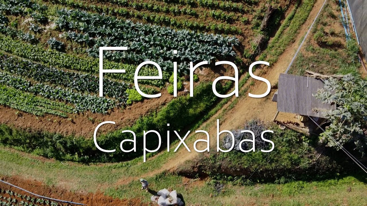 Feiras Capixabas: Viv&ecirc;ncias e Hist&oacute;rias