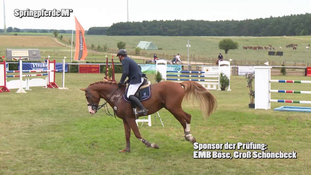Springpferde M* - Ladeburg 2016