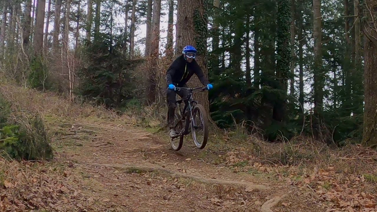 Spanish Side - Cann Woods