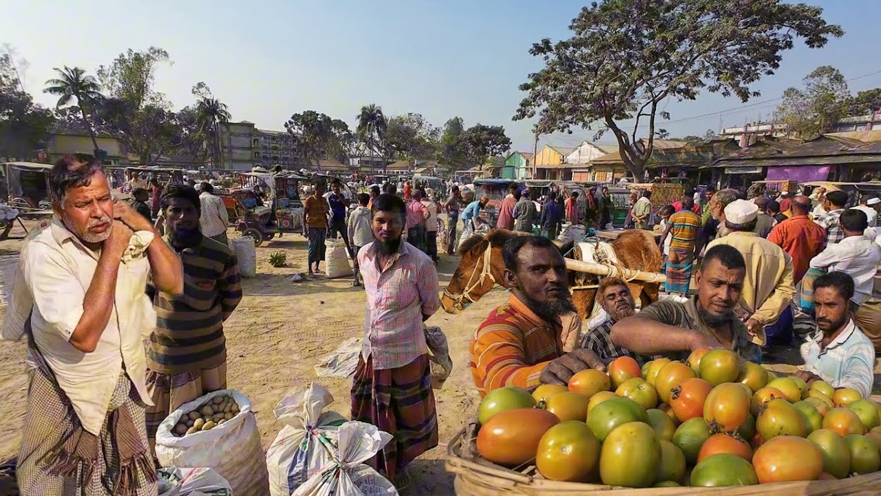 ব্রহ্মপুত্র চরের কৃষকের হাহাকার! Village Market। চন্দ্রকোনা বাজার