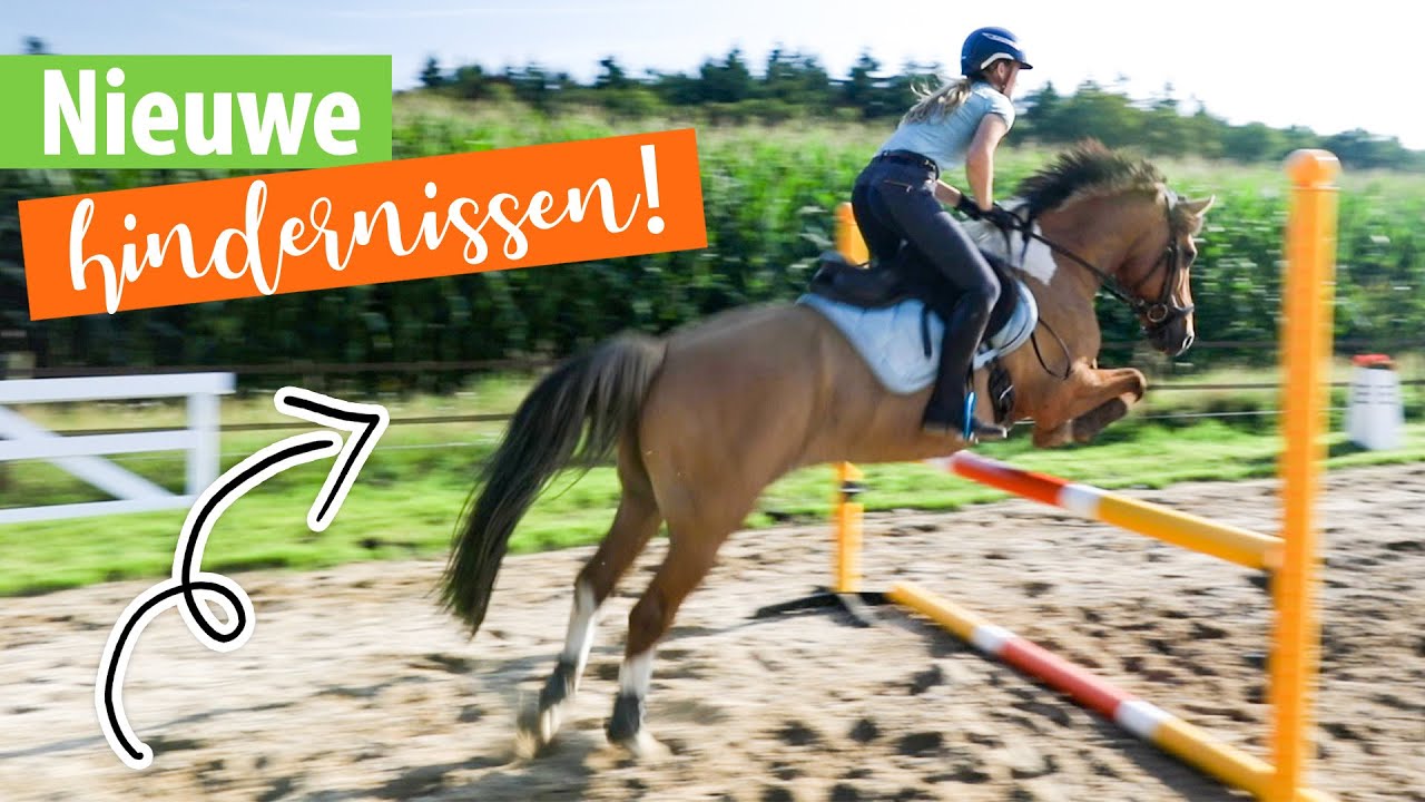 Nieuwe HINDERNISSEN uitpakken & eerste keer SPRINGEN! | felinehoi VLOG #398