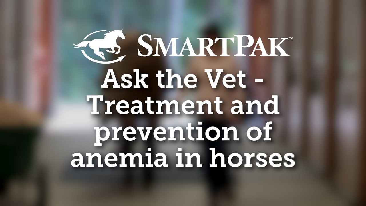 Ask the Vet - Treatment and prevention of anemia in horses