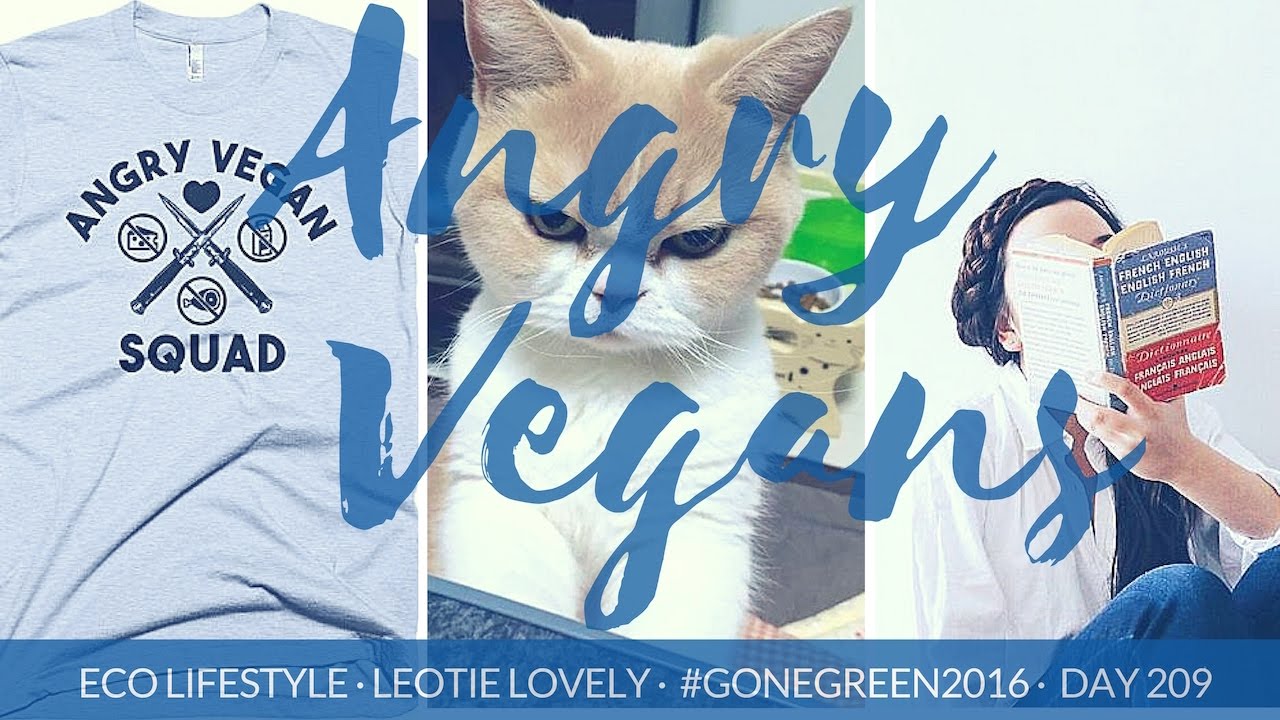 Angry Vegans Don't Make More Vegans, Kind Vegans Do