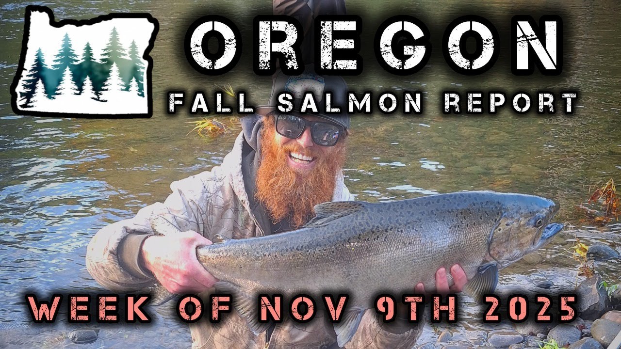 Oregon Salmon Fishing Report Week Of Nov 9th 2025