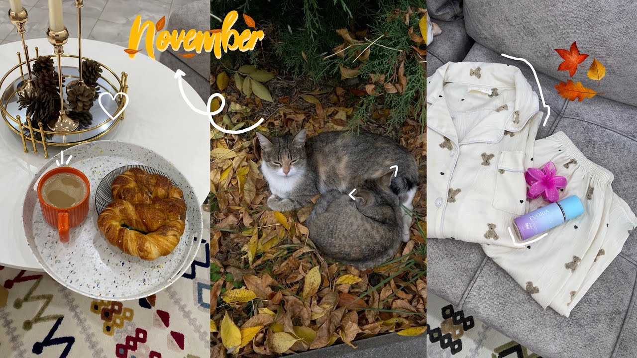 أيام الخريف الهادئة🍂☕️| اجواء  المطر🌧️| اول وجبة لإبني🥦🥕