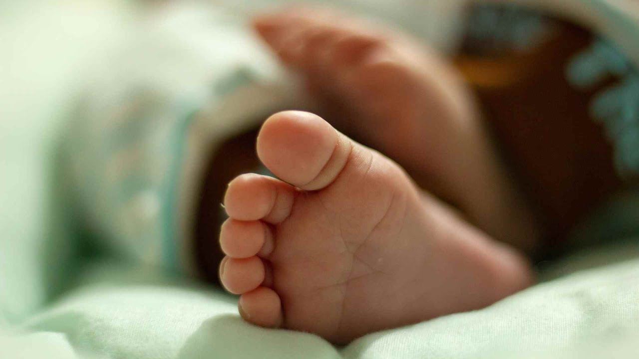 Defender a vida sempre: CNBB manifesta preocupa&ccedil;&atilde;o com decis&otilde;es judiciais sobre o aborto