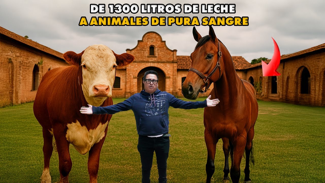 LA HACIENDA DE LOS MILLONES: DONDE CRÍAN CABALLOS CAMPEONES I GEOLEMA