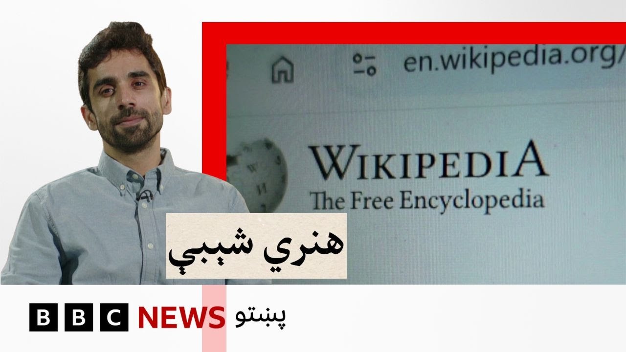 هنري شېبې: ويکيپيډيا ۲۵ کلنه کېږي، پوهنې ته لاسرسي کې يې څومره مرسته کړې؟