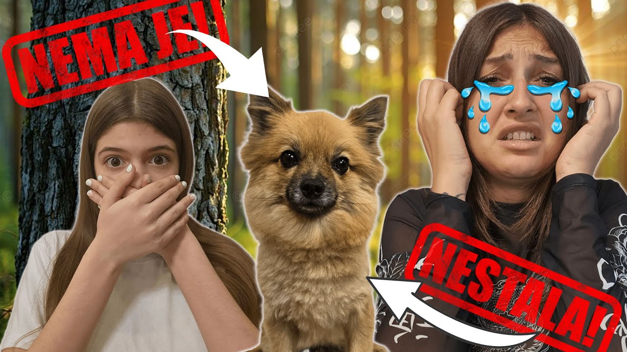 NAŠA MILA JE NESTALA!!! Nije fake!