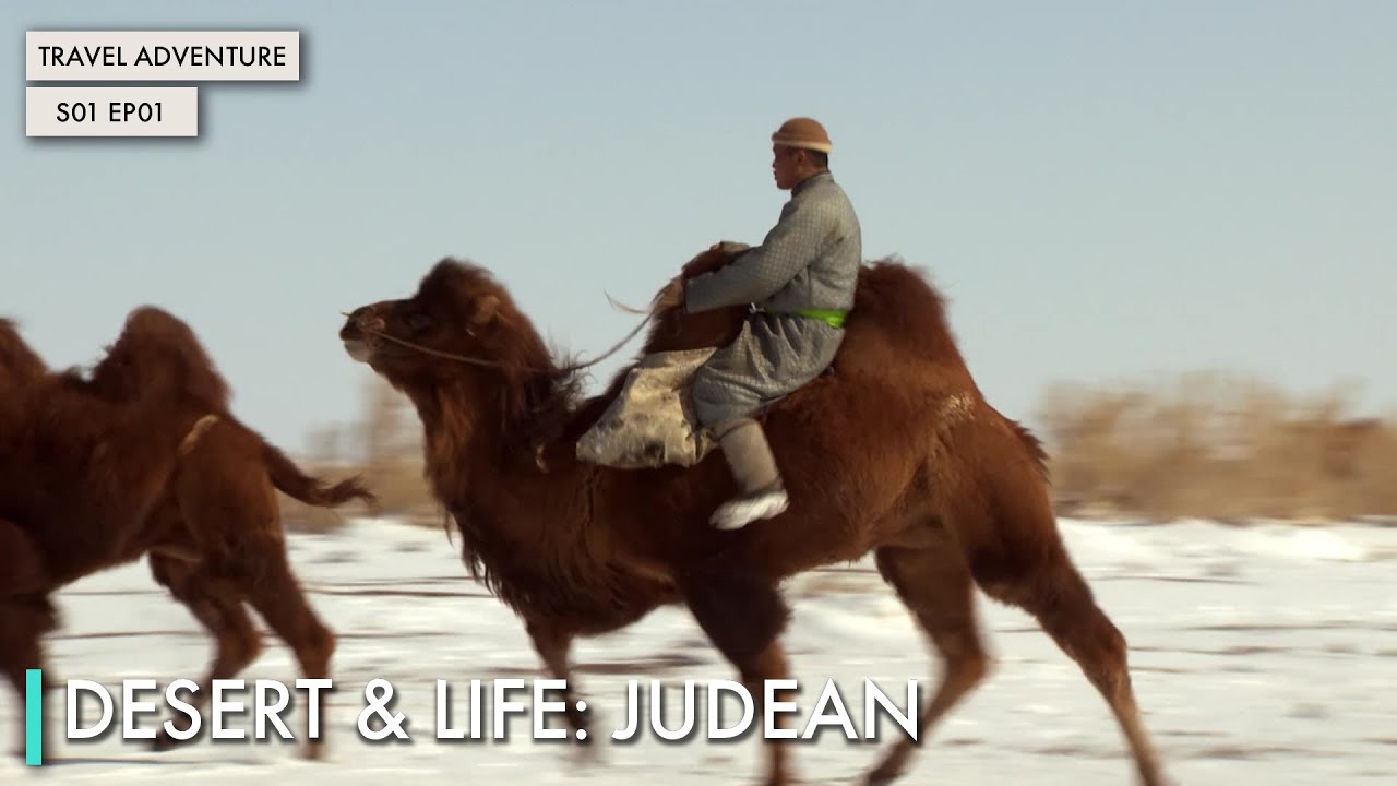 Desert & Life: Judean