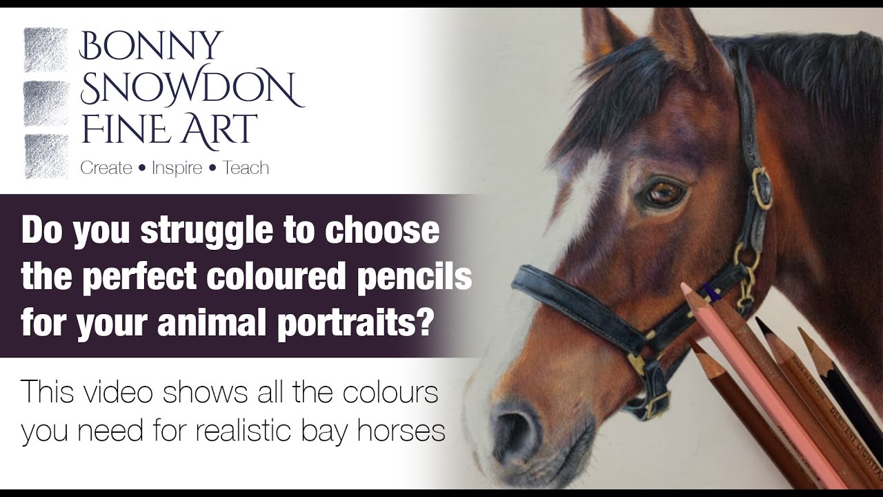 Struggling to Find the Perfect Coloured Pencils for your Animal Portraits? | Materials Guide