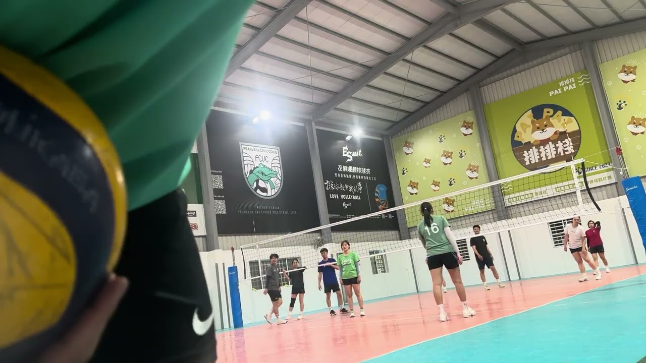 排排棧-20260316-1