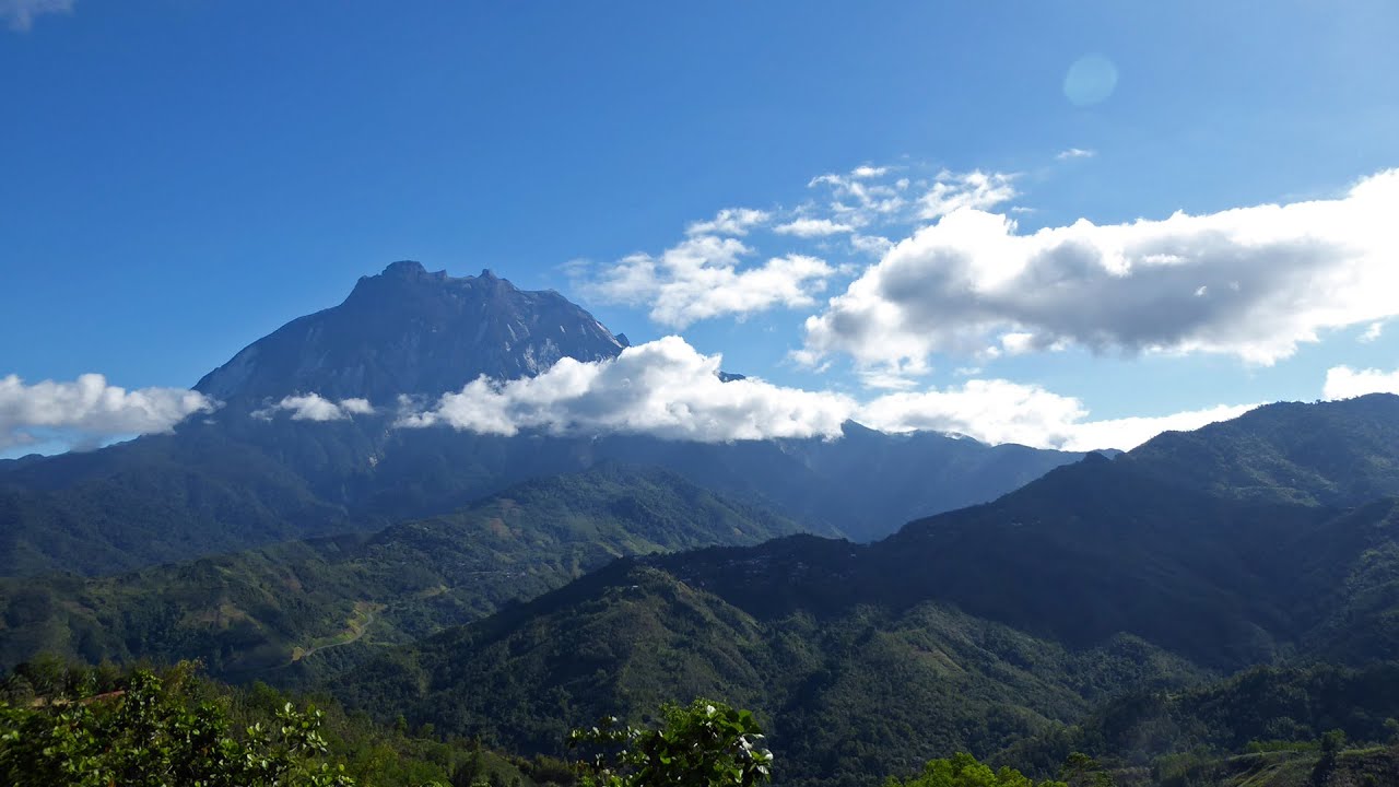 Travel Vlog | Kinabalu Park and Canopy Walk