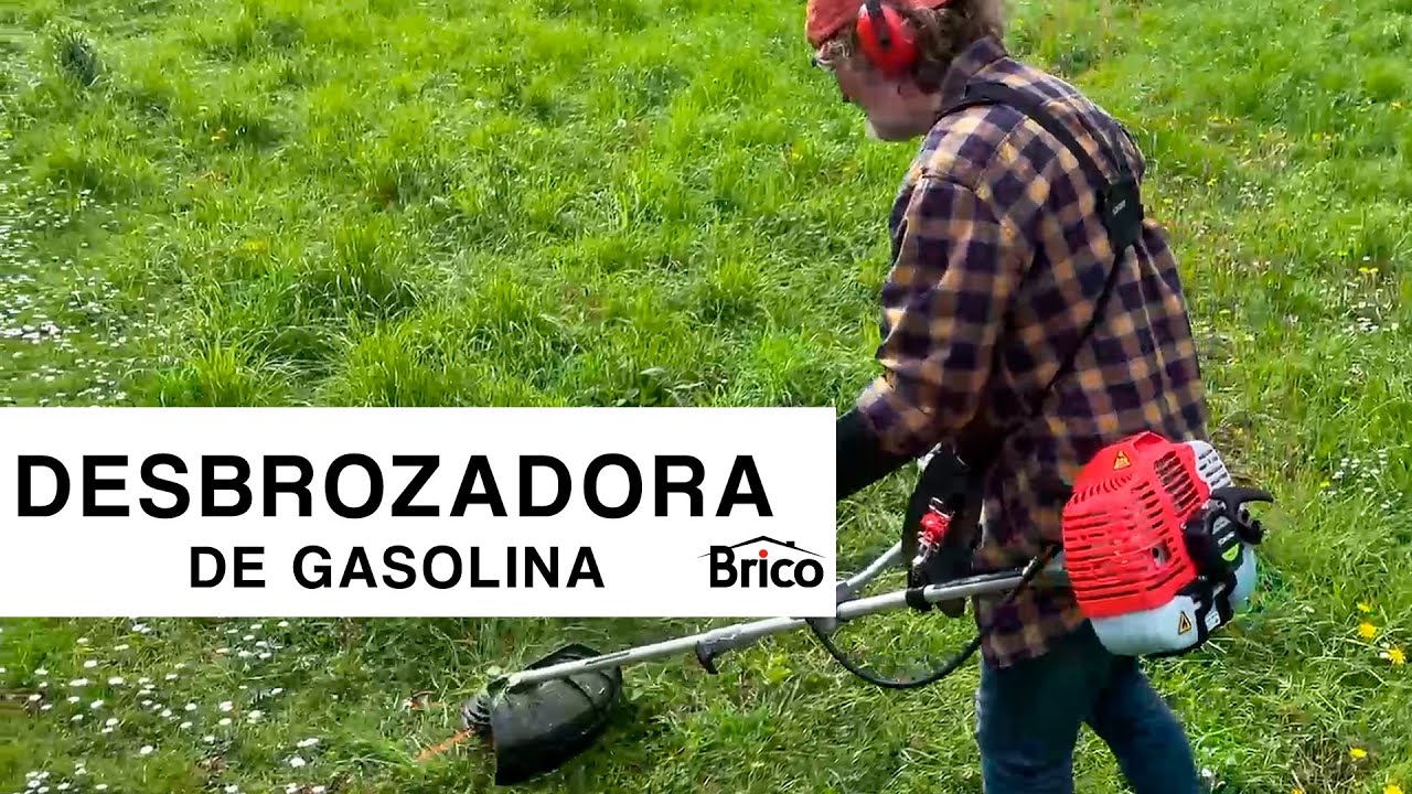 DESBROZADORA de GASOLINA 🌿 Probamos el modelo GGT650X-6 de Greencut 🎧👨‍🌾  Bricomania