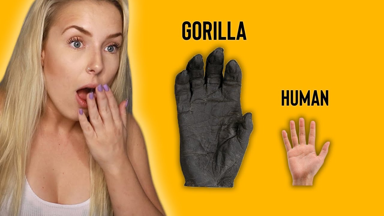 Things That Are WAY BIGGER Than Our Brains Thought!