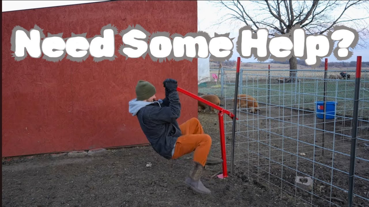 Pulling Fence & Keeping Pigs In