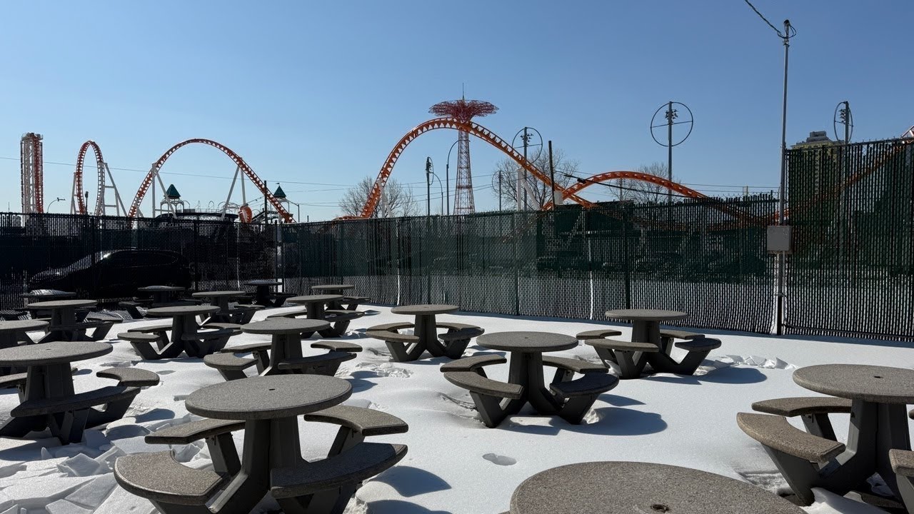 🔴 NYC Live: Extreme Cold Swim with the Coney Island Polar Bears 🥶❄️- 2/8/26