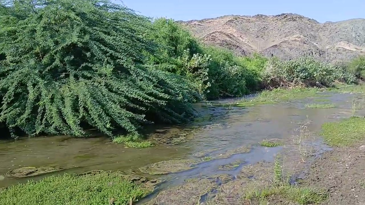 منطقة وادى عليب فى الباحة جنوب السعودية . هدوء وسكينة ومناظر جميلة