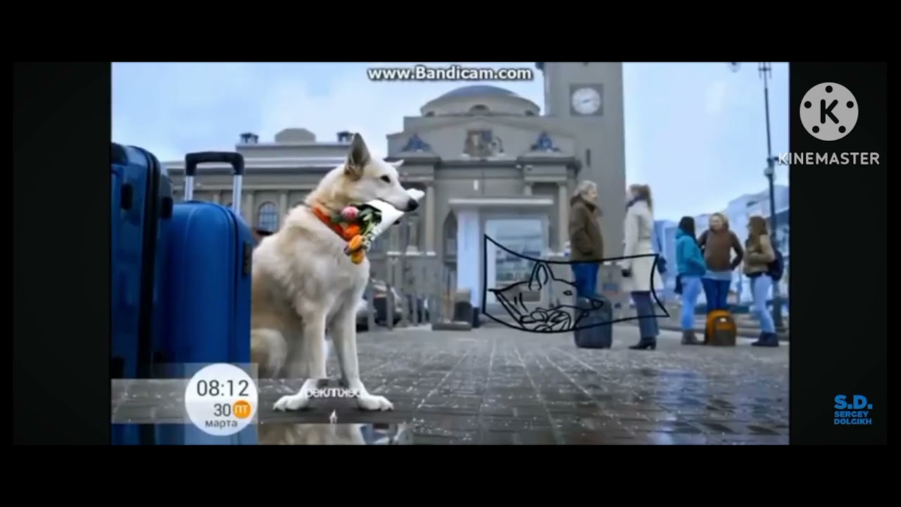 Реклама заставка Первый канал 2015