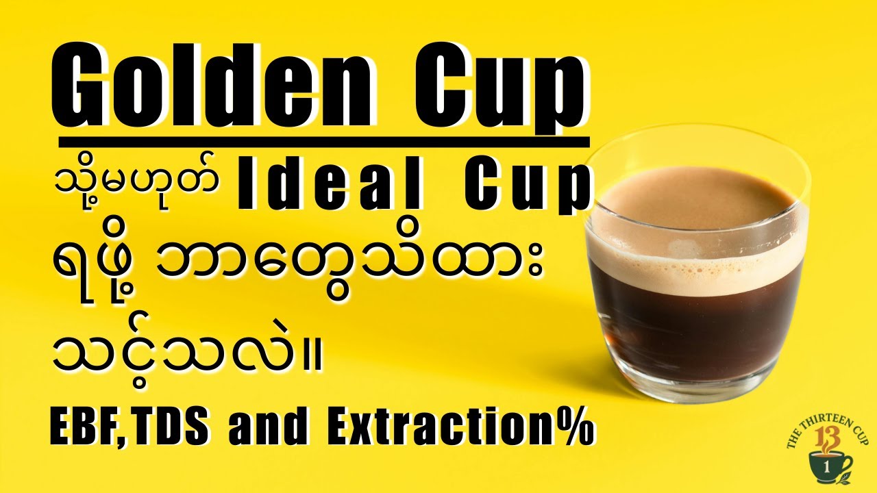 Golden Cup သို့မဟုတ် Ideal Cup ရဖို့ ဘာတွေသိထားဖို့လိုလဲ?
