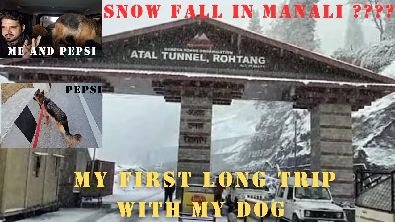 मनाली मे snowfall ????? मै pepsi और  Jimny चल पड़े बर्फ की तलाश मे|| My first Tour with my DOG...