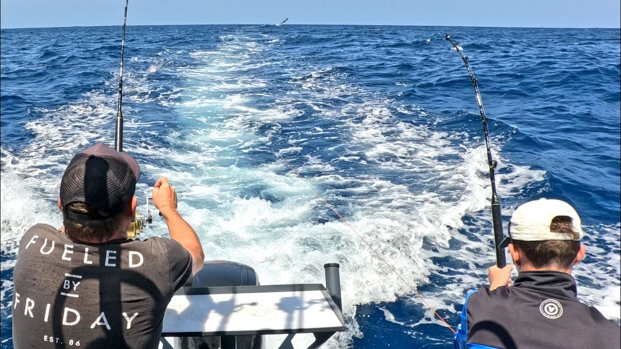 Stripe Marlin Madness - Shellharbour NSW