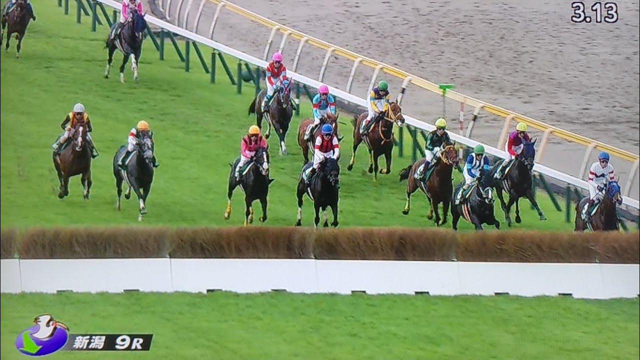 新潟9レース第26回新潟ジャンプステークス(J・GⅢ) ホッコーメヴィウス