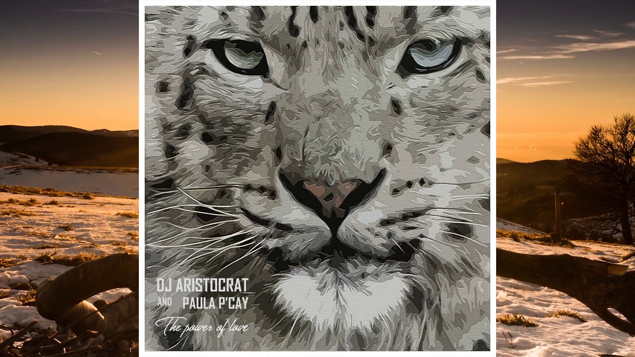 DJ Aristocrat & Paula P'Cay - The Power Of Love (Deep Strips Records)