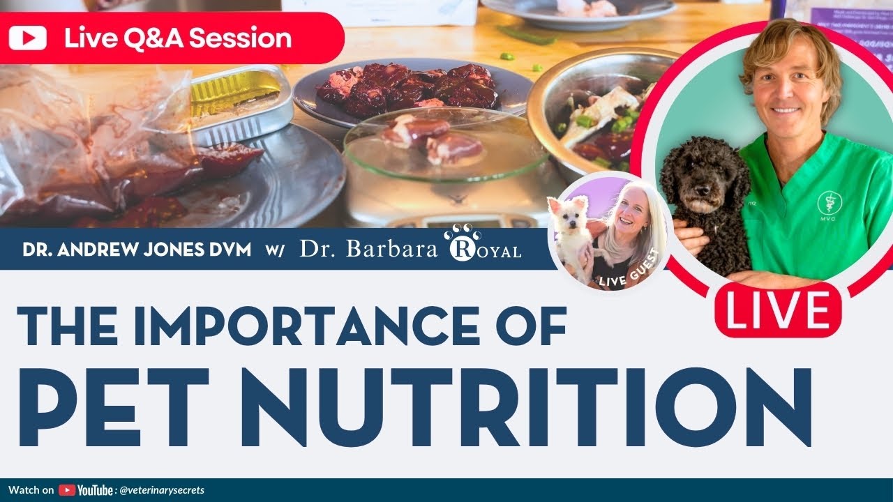 The Importance of Nutrition in Pets | With Dr. Barbara Royal