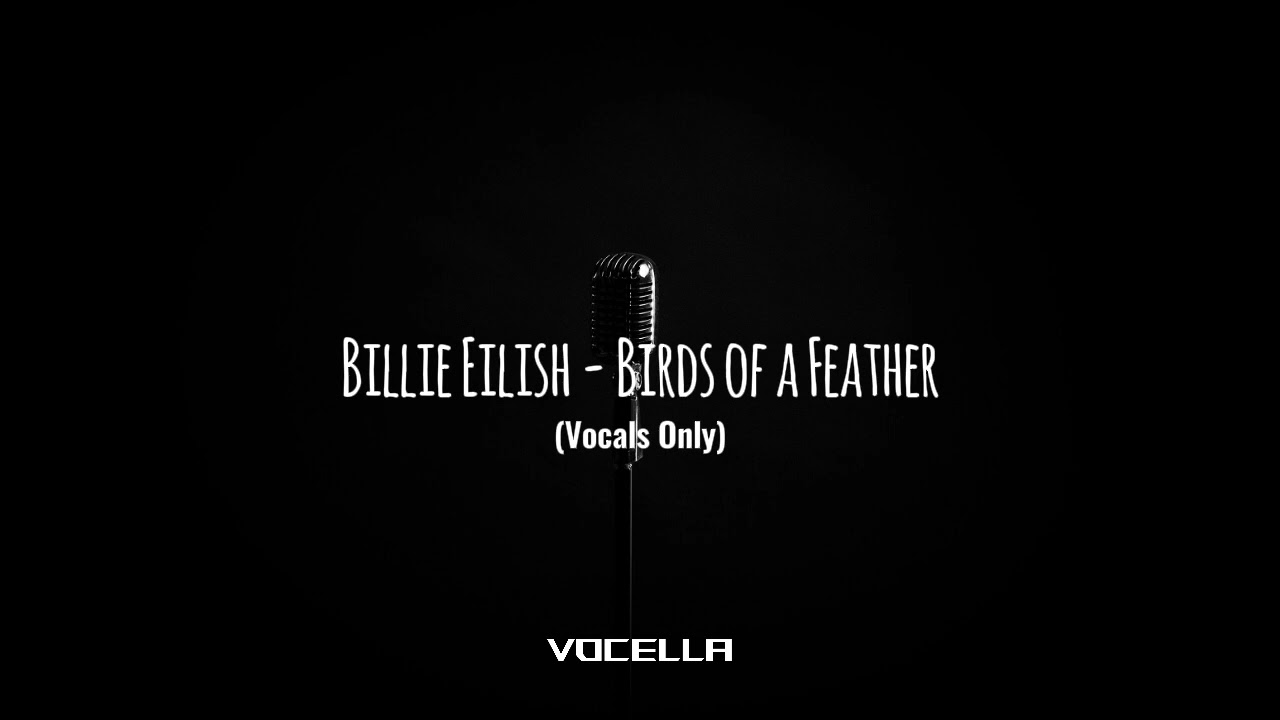 Billie Eilish - Birds of a Feather (Acapella/Vocals Only)