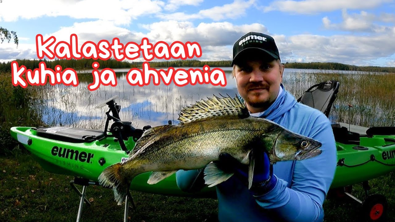 Kuhan ja ahvenen kalastusta Simpelejärvellä | Vesi viilenee hissukseen