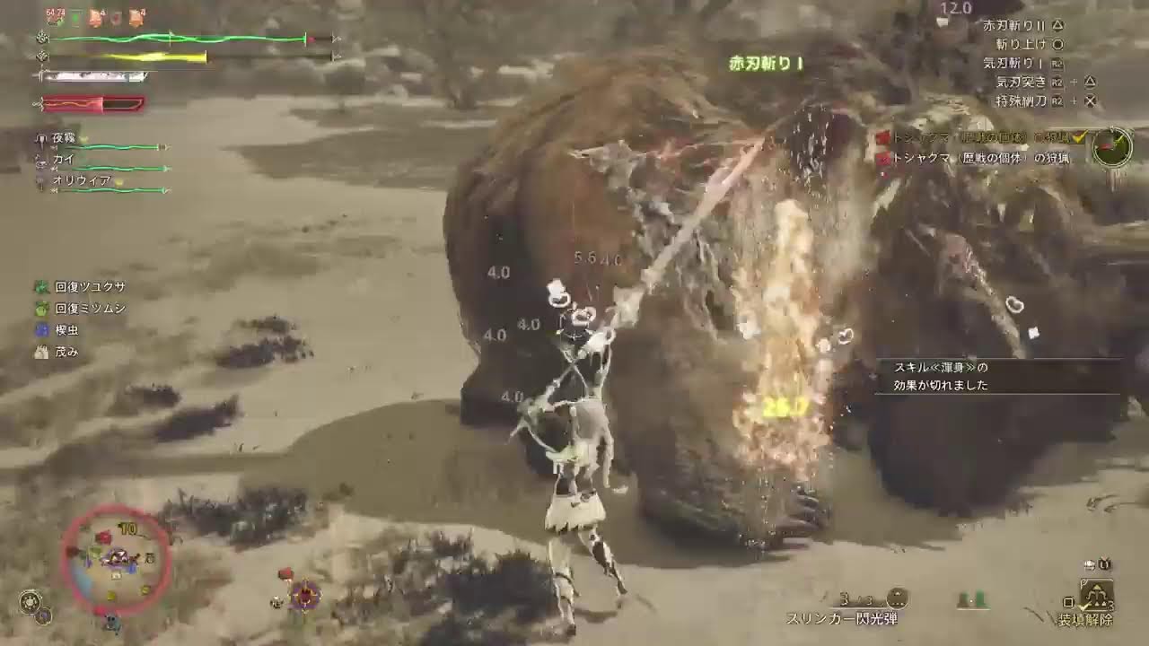 [モンハンワイルズ]装飾品を求めてー