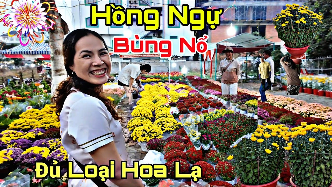 Xôn xao Hồng Ngự chợ Hoa Tết 2026/ Tưng Bừng Nhiều Hoa mới Lạ