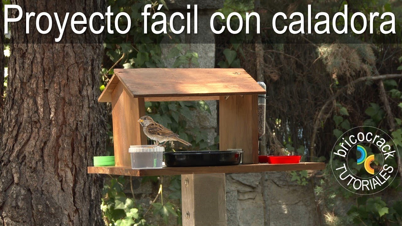 Proyecto fácil con caladora: comedero para pájaros (Bricocrack)