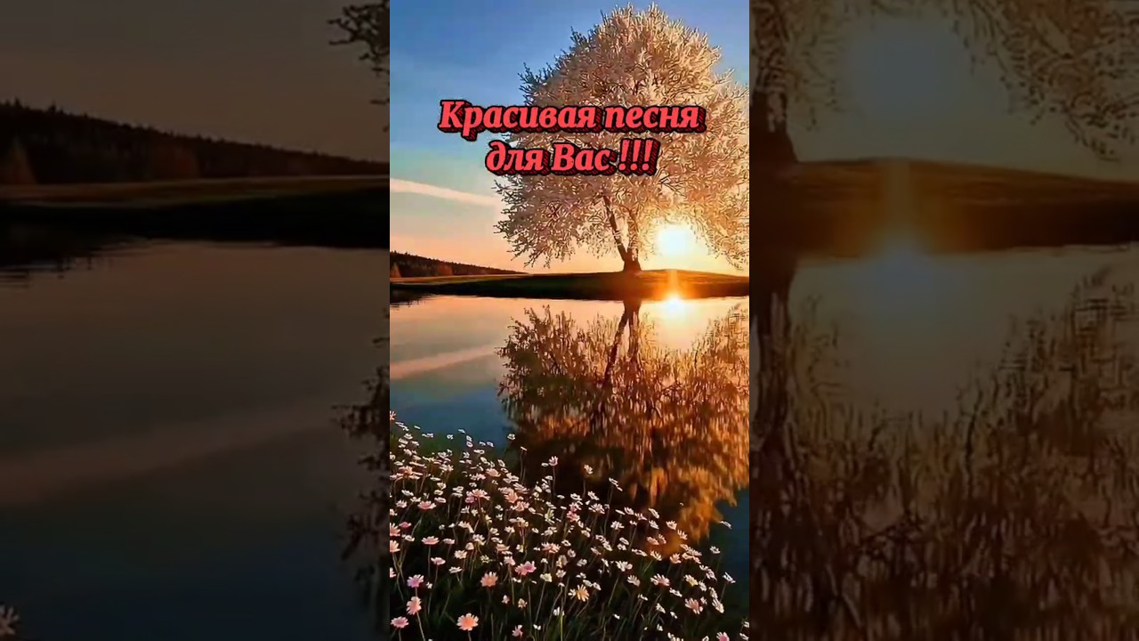 Небо пополам#песнопрочувства #loveballad #cantodeamor #chansonromantique