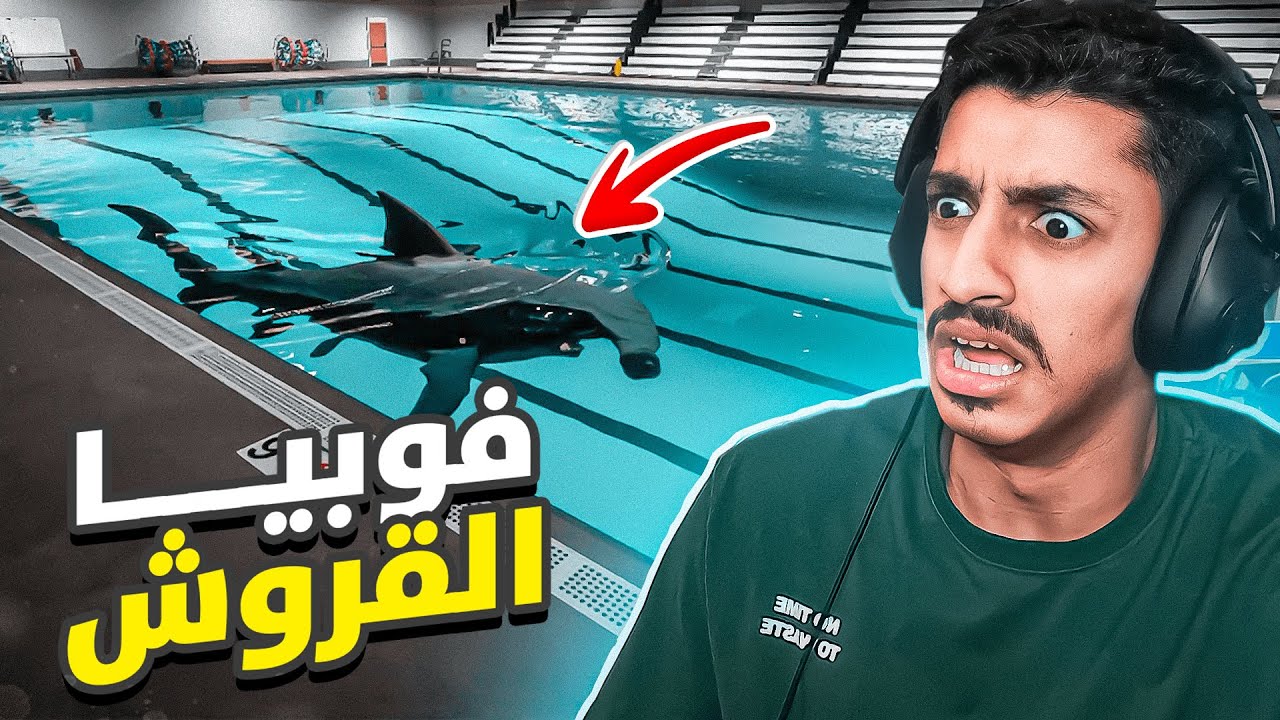 قرش في مسبح ؟