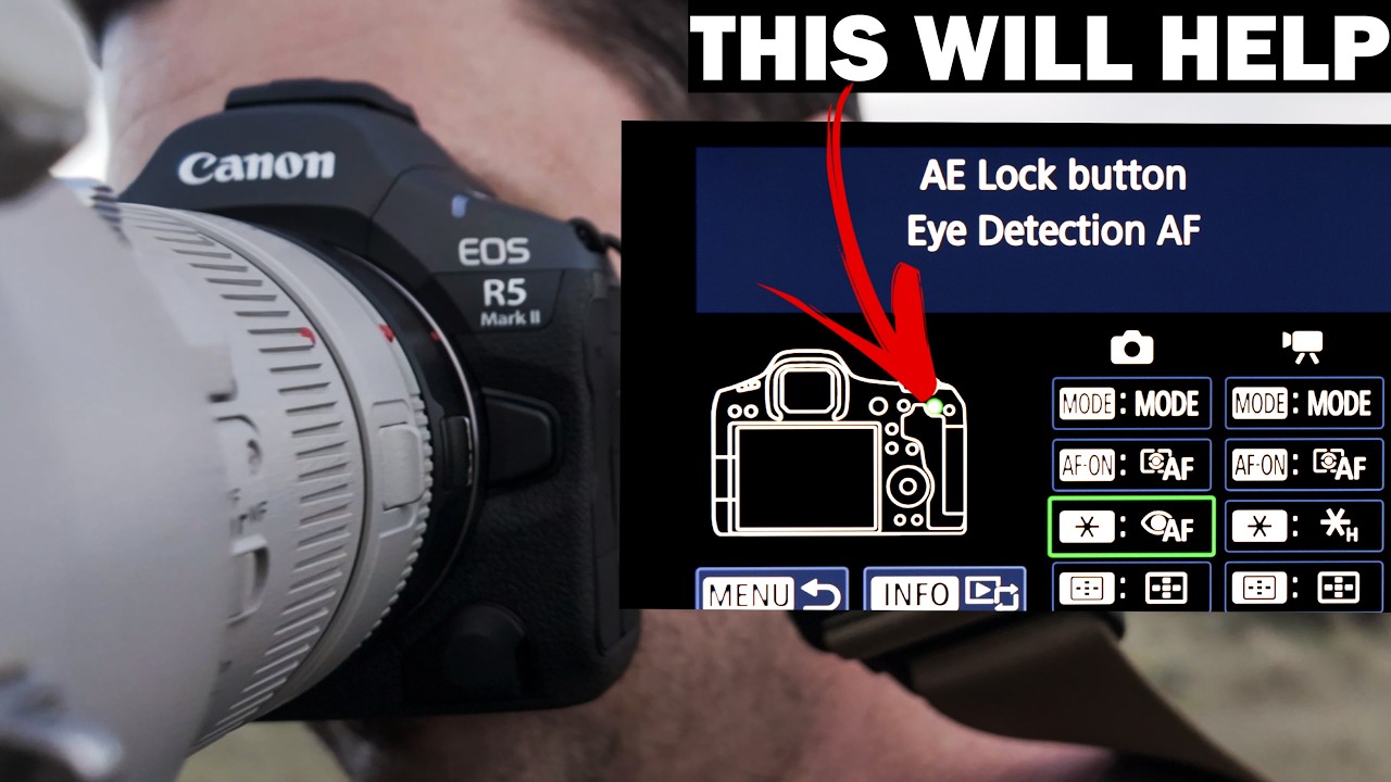 Canon R5 II Settings For Wildlife Photography