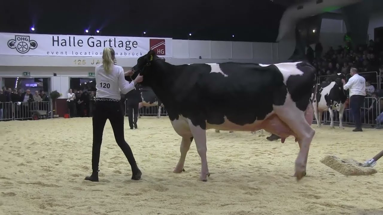 CATTLE.de: OHG Schwarzbunttage 2026 06