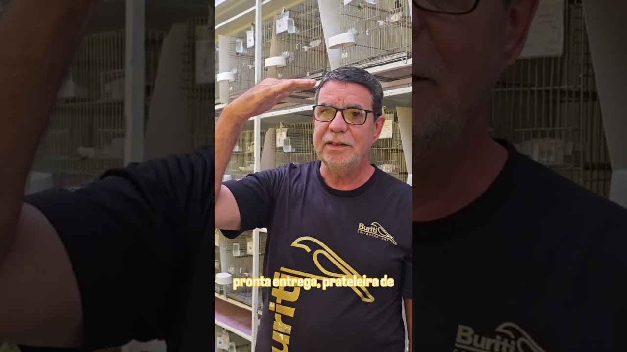 Aqui quem bate o martelo e voc&ecirc;! 🔨 Criadouro Buriti ⚜️Os campe&otilde;es nascem aqui 🏆
