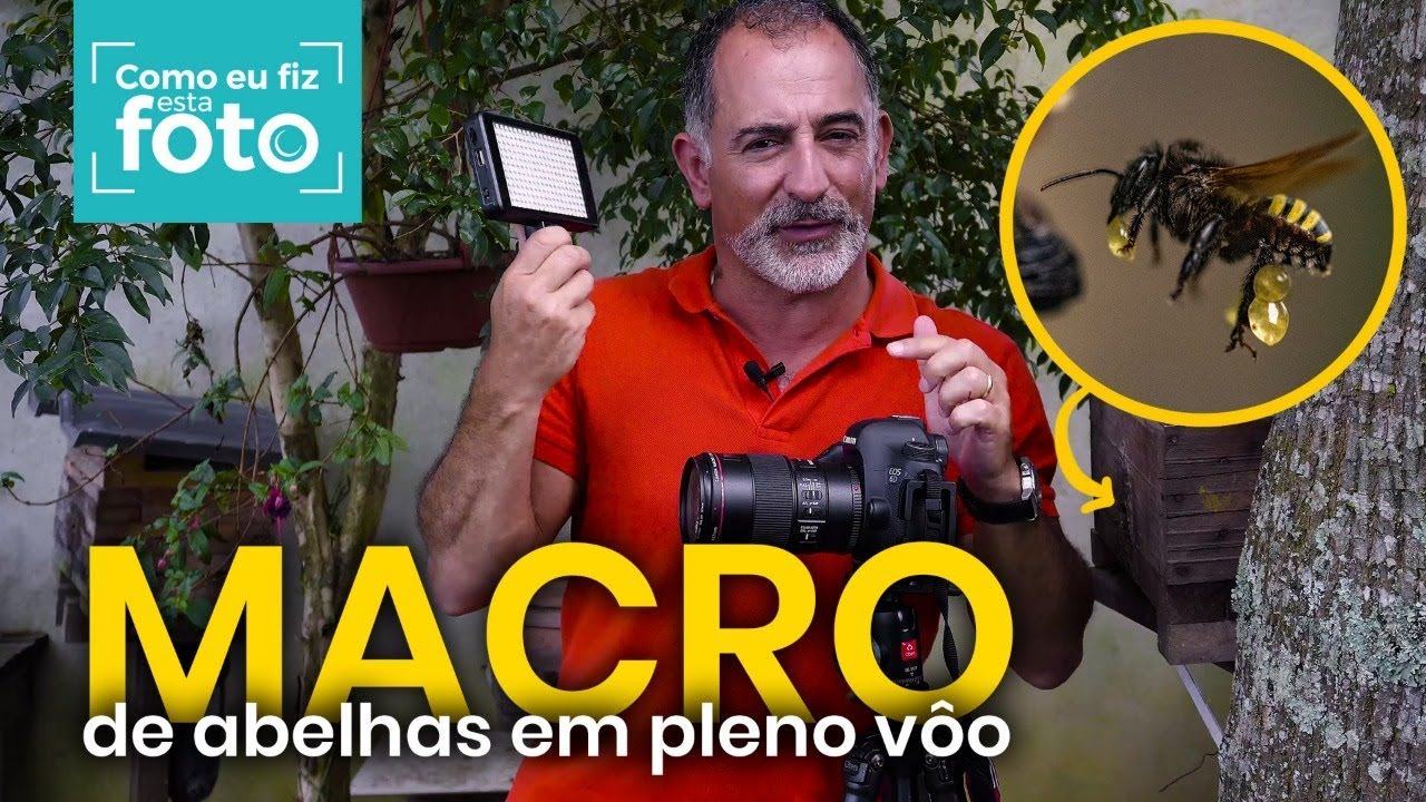 Como fazer fotos macro? Como eu fiz essa foto de ABELHA em pleno voo