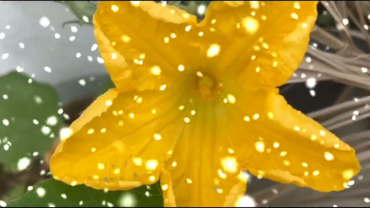 പാർവതി സത്യം മനസിലാക്കി കരുനാകത്തെ തള്ളിയിട്ട് ഗന്ധർവന്റെ അടുത്തേക്ക് 