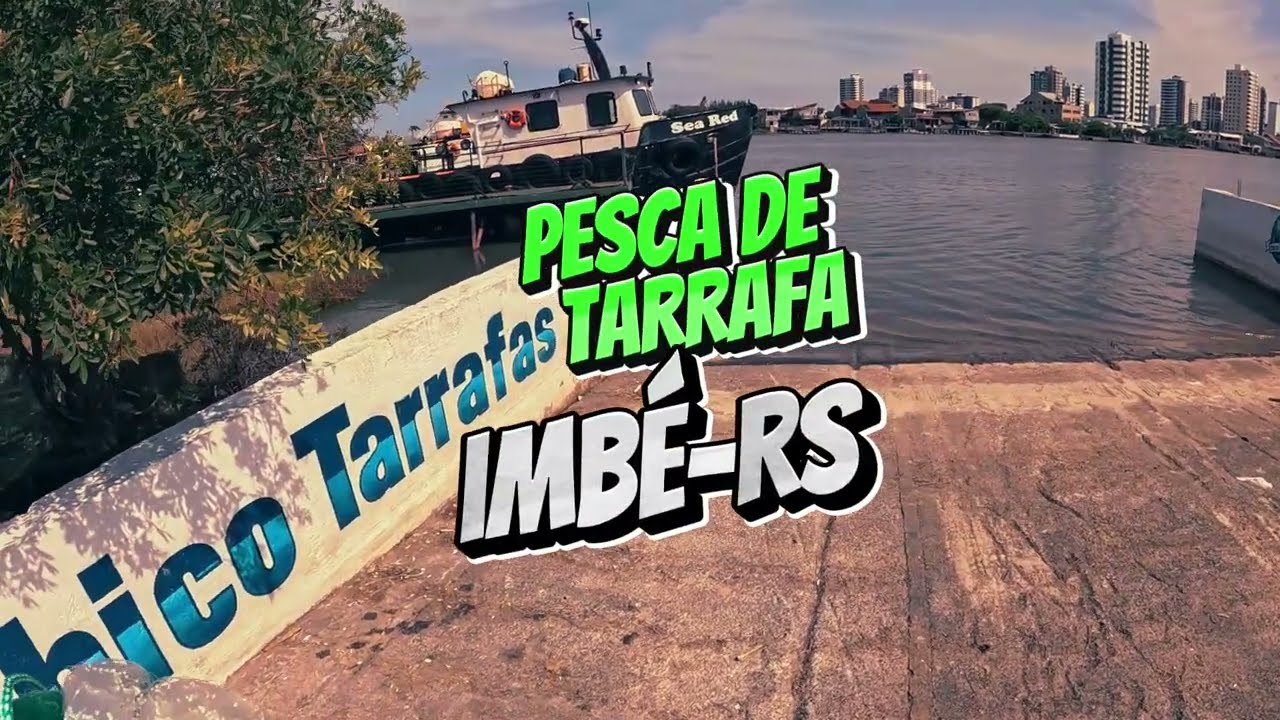 Tarrafeiro Quer Ver! Tainhas se Aproximando!