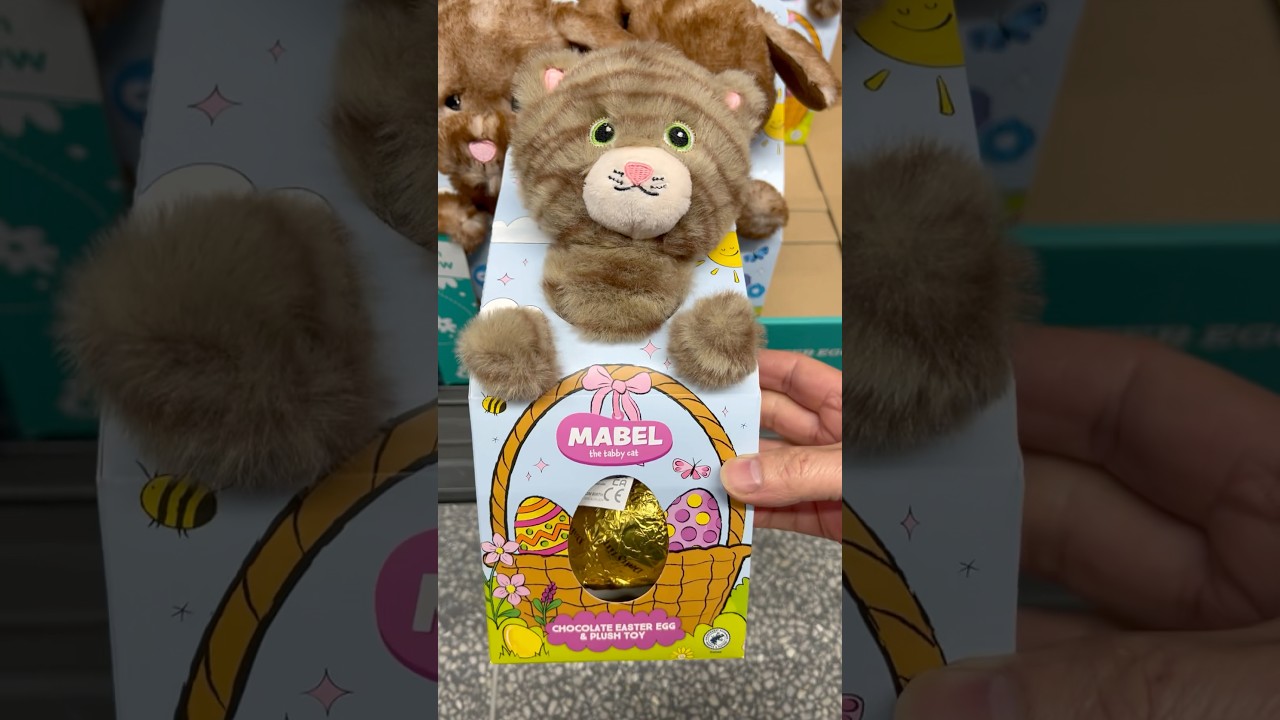 Aldi Dairyfine Mabel The Tabby Cat- Chocolate Eater Egg